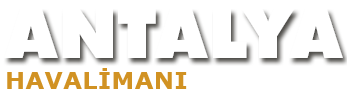 Havalimanı transfer web sitesi yaptırmak